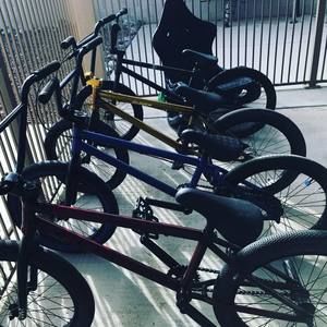 Meet your Posher, Gaven