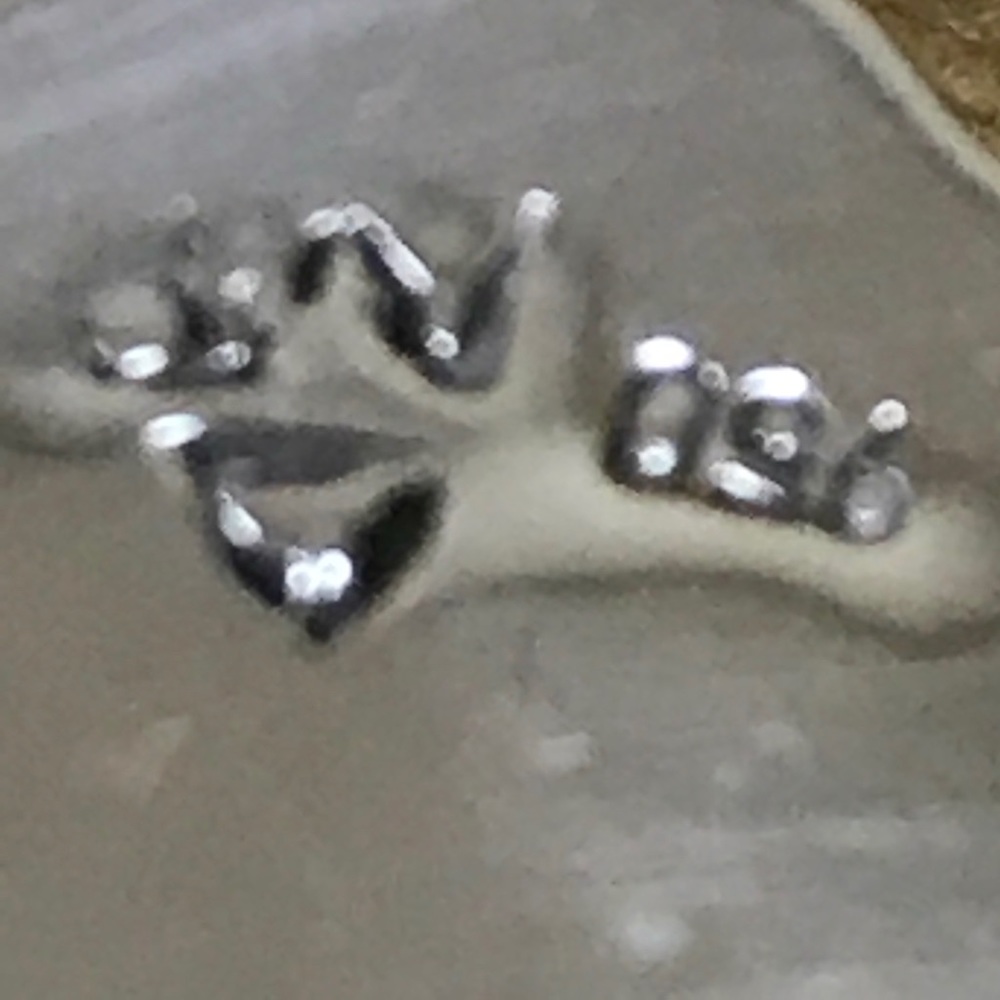 Ring - Picture 5 of 7