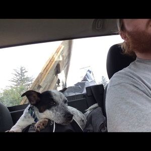 Meet your Posher, Joe