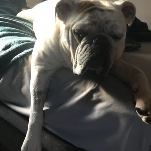 Meet your Posher, Joseph