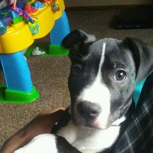 Meet your Posher, Gerald