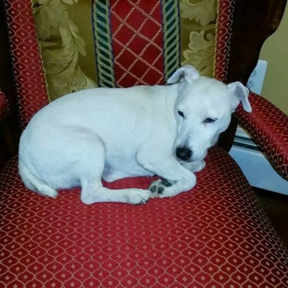 Meet your Posher, Justine