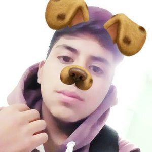 Meet your Posher, Robertho