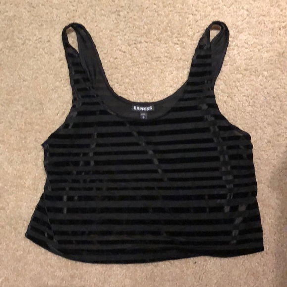 Velvet and sheer crop top - Picture 1 of 1