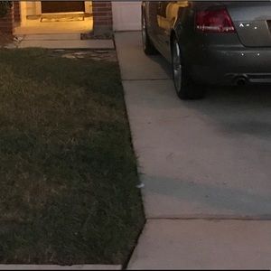 Meet your Posher, Van