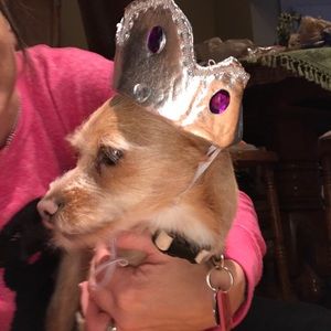 Meet your Posher, Karen