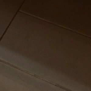 Meet your Posher, Jafet