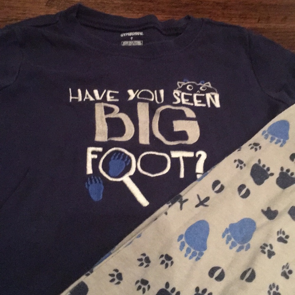 Gymboree Boys Pajamas