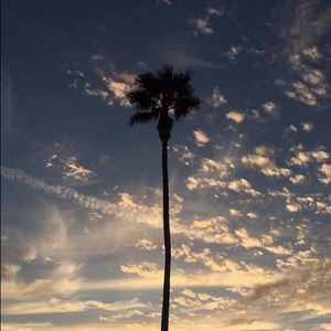 Meet your Posher, Saundra