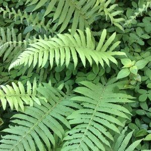 Meet your Posher, Christian