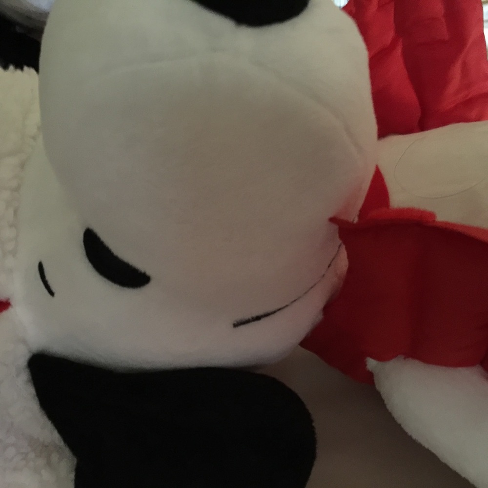 Snoppy 2015 brand new withstood stored in bag