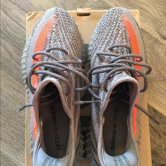 Adidas Yeezy Boost 350 V2 - Picture 6 of 6