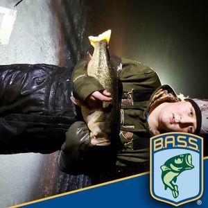 Meet your Posher, Logan