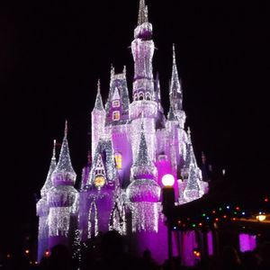 Meet your Posher, Joann