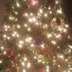 Meet your Posher, Alison