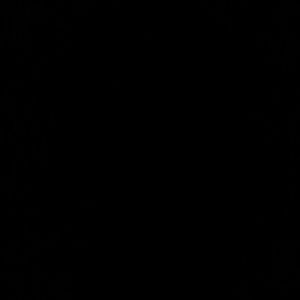 Meet your Posher, Connie