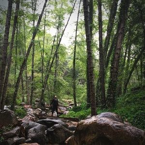 Meet your Posher, Neftali