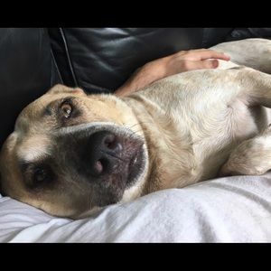 Meet your Posher, Jack