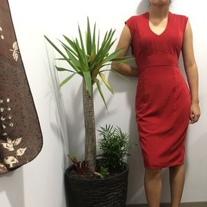 Final Price Classy red dress