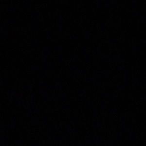 Meet your Posher, Elsa