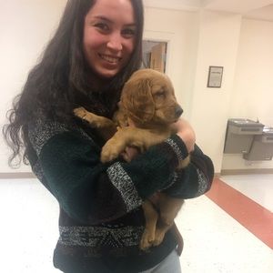 Meet your Posher, Anya