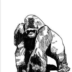 Meet your Posher, Francisco