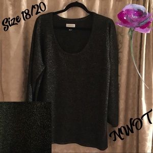 Sparkle-tastic Sweater Size 18/20