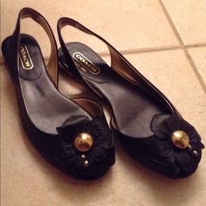 Coach flats (Nolee waxy calf)