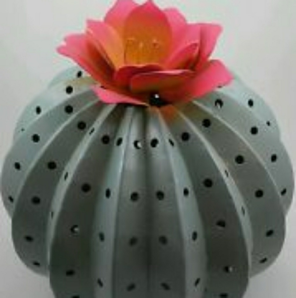 Pink Zebra Cactus Shade