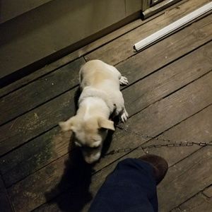 Meet your Posher, Sonny