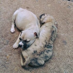 Meet your Posher, Diane