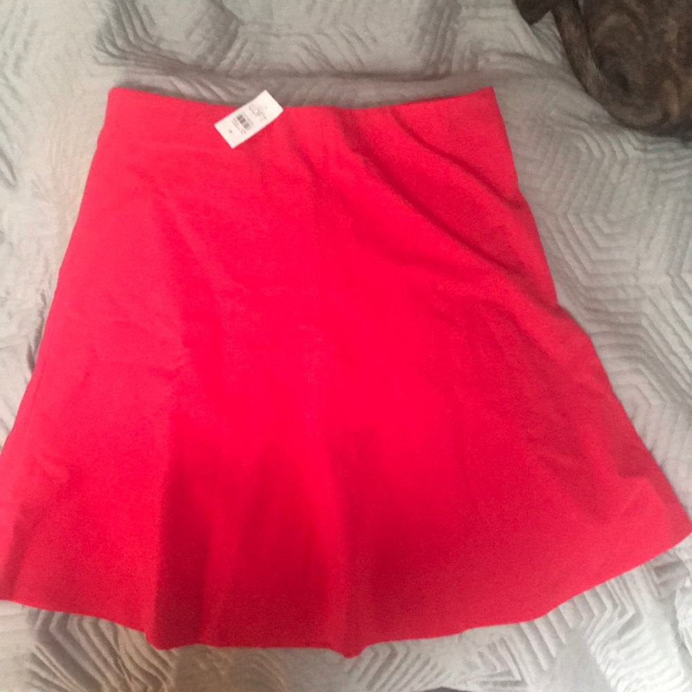 Brand New LOFT Skater Skirt