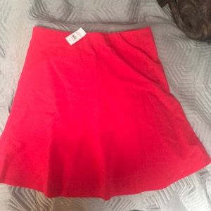 Brand New LOFT Skater Skirt