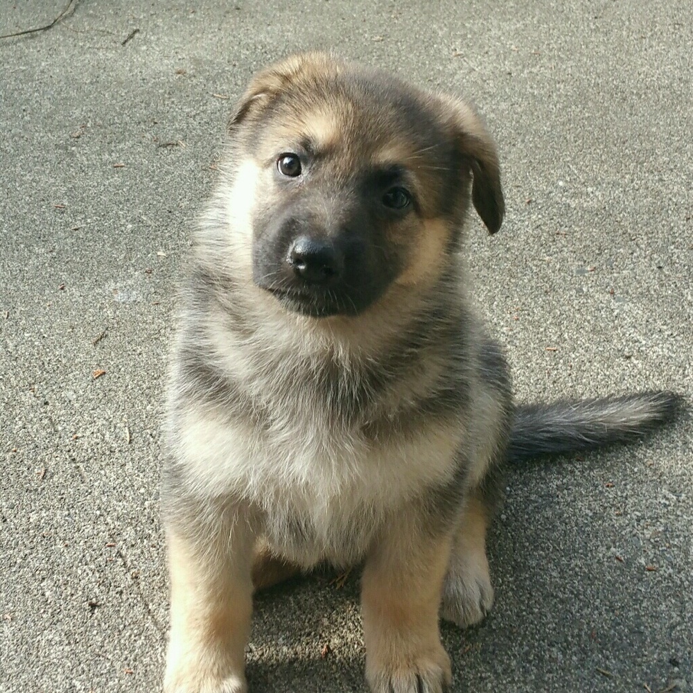 Meet your Posher, Aimee