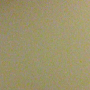 Meet your Posher, Elena