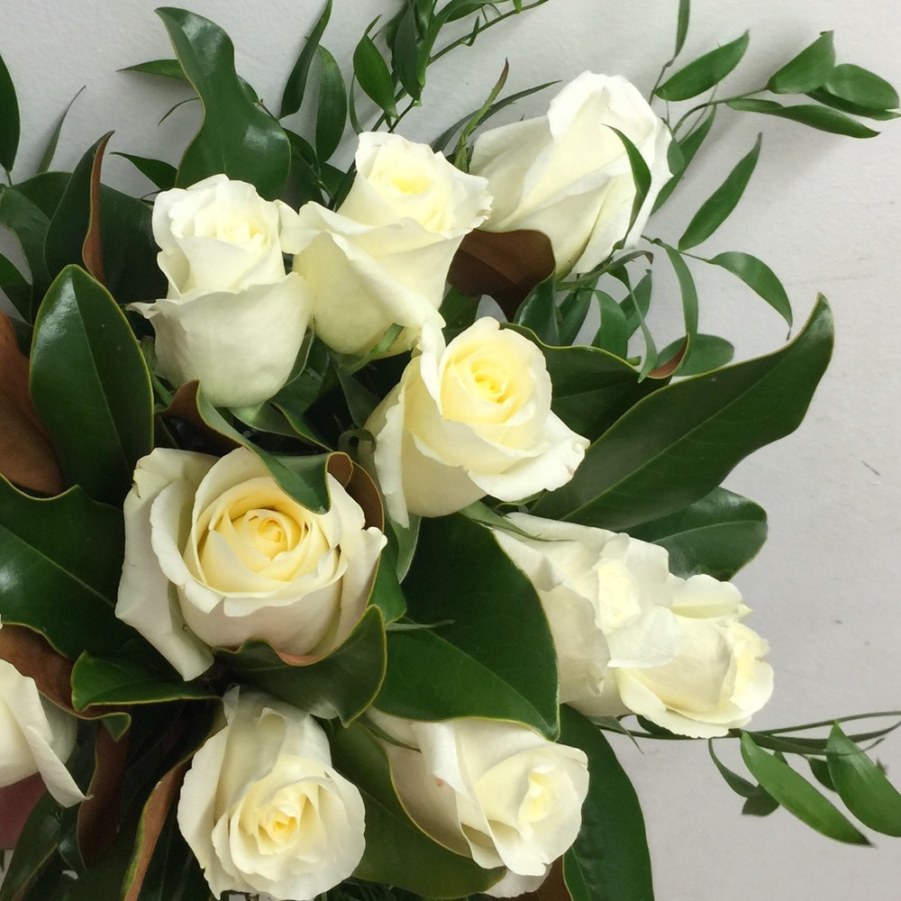 Meet your Posher, Glenna