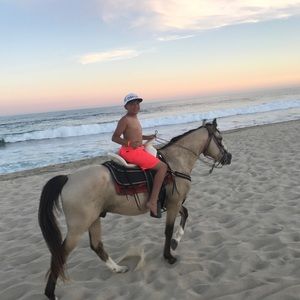 Meet your Posher, Adrian