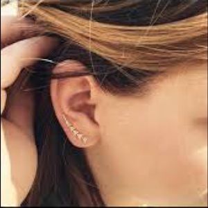 Stella & Dot Pave Ear Climbers In Silver