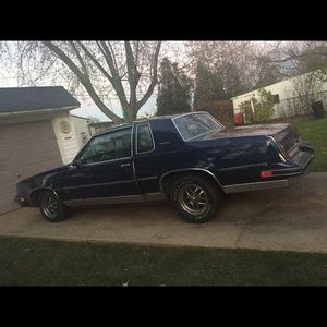 Meet your Posher, Terri