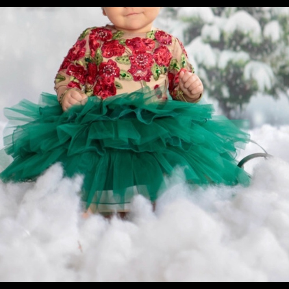 GORGEOUS Christmas party baby dress size 12 months