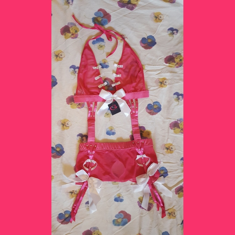 Cute & Sexy Hot Pink Garter Lingerie