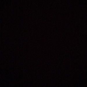 Meet your Posher, Rubby