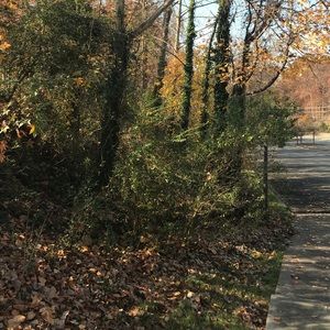 Meet your Posher, Jonese