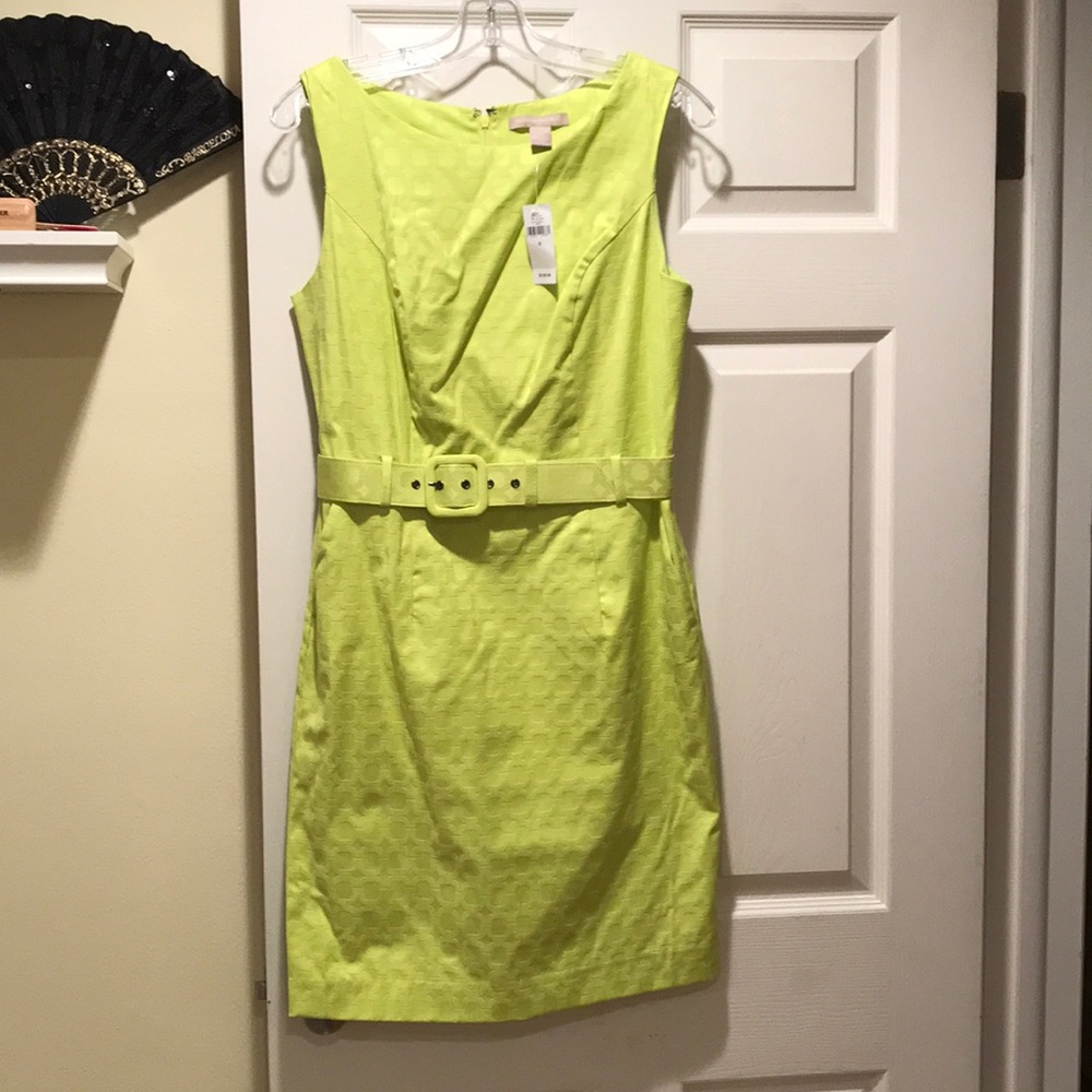 Green Banana Republic shift dress