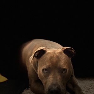 Meet your Posher, Jenni