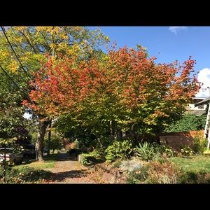 Meet your Posher, Sam