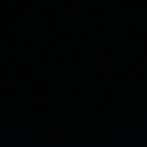 Meet your Posher, Shadae