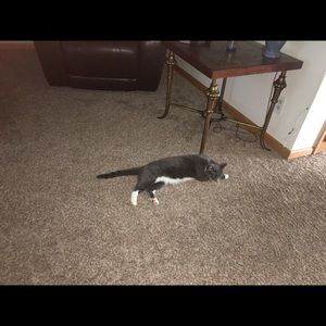 Meet your Posher, Alyssa