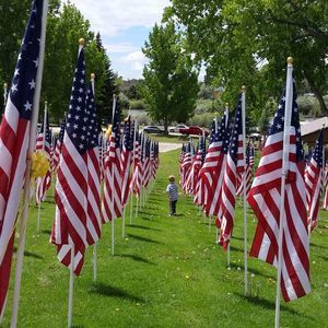 Meet your Posher, Erika