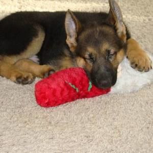 Meet your Posher, Lisa